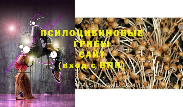 Альфа ПВП Алексеевка