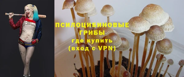 метадон Алексин