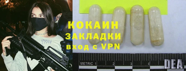 метадон Алексин