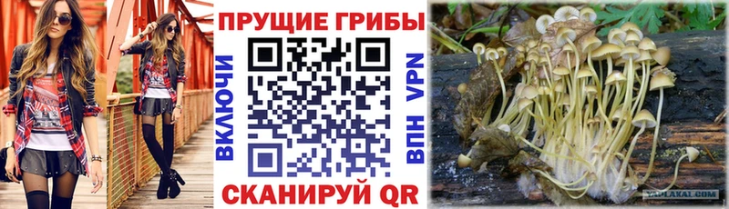 Галлюциногенные грибы MAGIC MUSHROOMS  Урай 